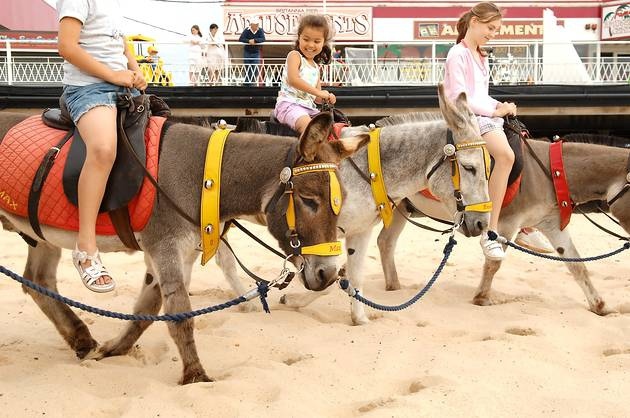 donkey ride great yarmouth beach