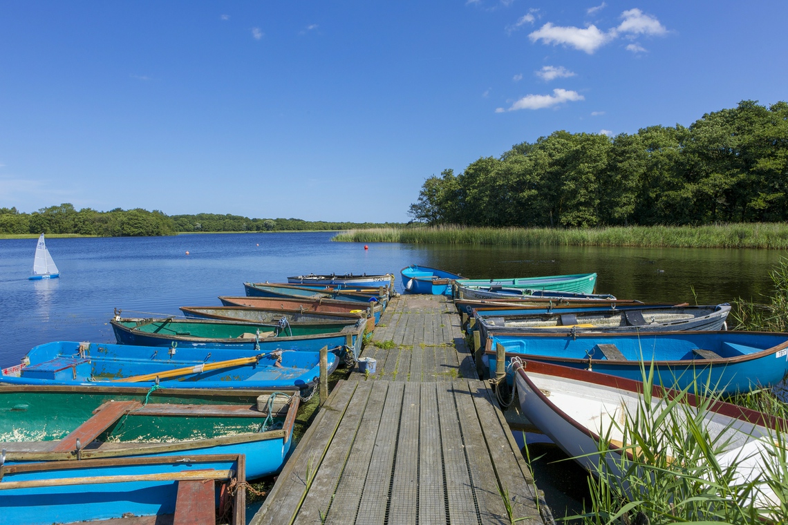 filby broad