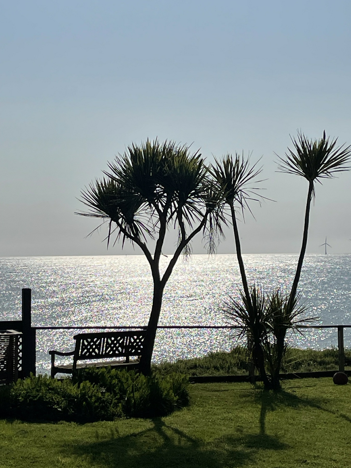 Beachside Garden